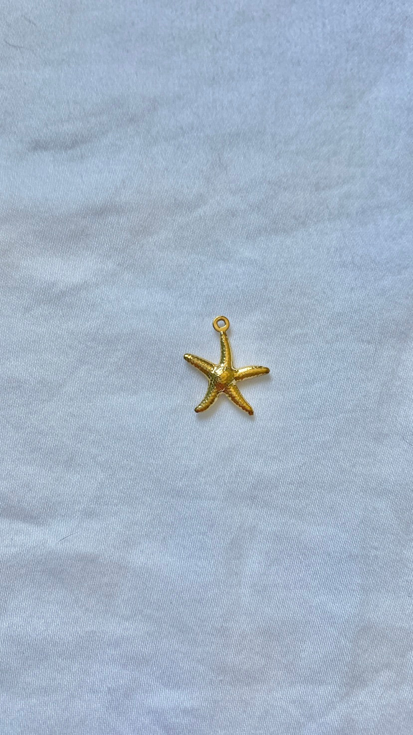 charm étoile de mer