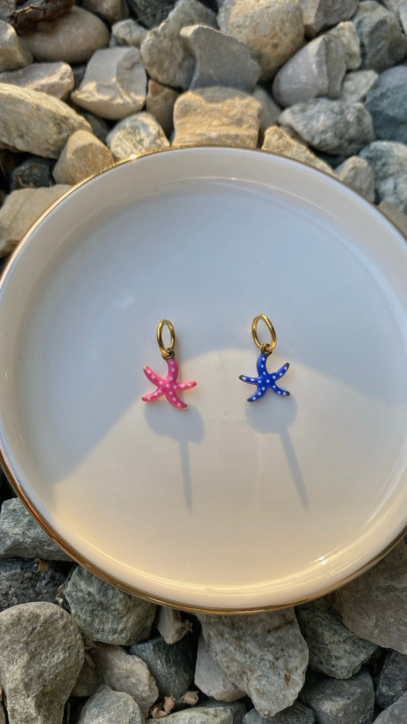 Charm Étoile de mer colorée