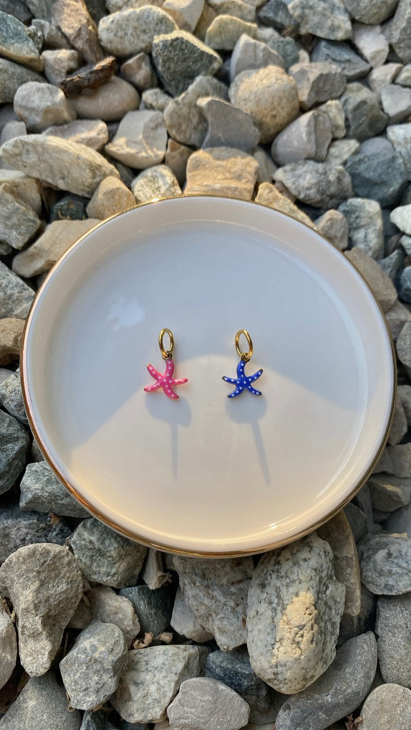 Charm Étoile de mer colorée
